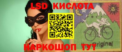 гашик Донецк