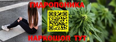 дмт Дубна