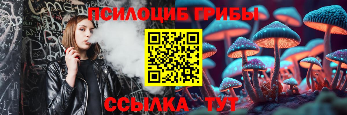 где продают наркотики  Вход с VPN  Курчатов  Псилоцибиновые грибы прущие грибы 