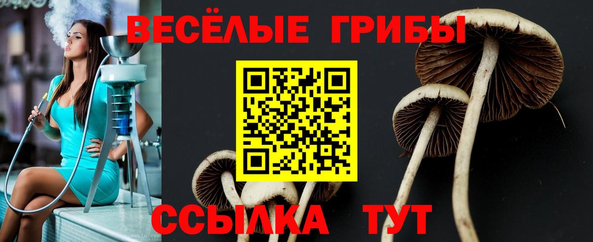 Псилоцибиновые грибы Magic Shrooms Курчатов