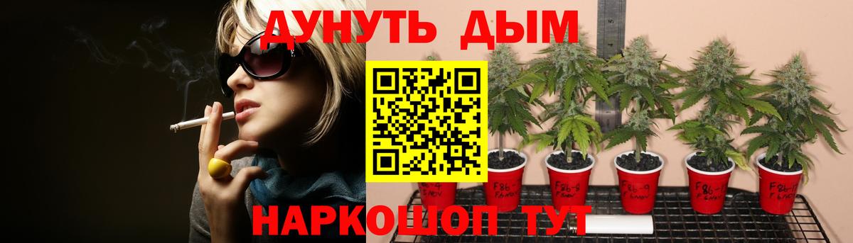 Конопля план Курчатов